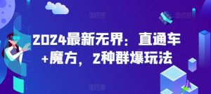 2024最新无界：直通车+魔方，2种群爆玩法-阳知网创资源库