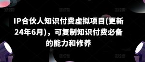 IP合伙人知识付费虚拟项目(更新24年6月),可复制知识付费必备的能力和修养-阳知网创资源库