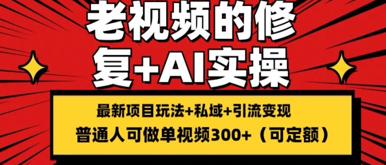 修复老视频的玩法，搬砖+引流的变现(可持久)，单条收益300+【揭秘】-阳知网创资源库