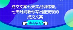 成交文案七天实战训练营，七天时间教你写出能变现的成交文案-阳知网创资源库