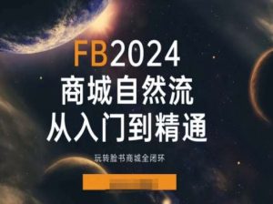 2024Faceboo商城自然流(从入门到精通),玩转脸书商城全闭环-阳知网创资源库