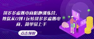 拼多多虚拟电商陪跑训练营,教你从0到1玩转拼多多虚拟电商,简单易上手-阳知网创资源库