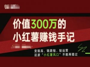 价值300万的小红书赚钱手记，变现高、链路短、轻运营，这波“小红薯风口”不能再错过-阳知网创资源库