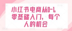 小红书电商从0-1,零基础入门,每个人的机会-阳知网创资源库