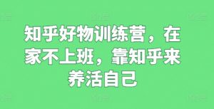 知乎好物训练营,在家不上班,靠知乎来养活自己-阳知网创资源库