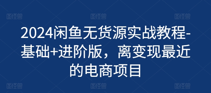 2024闲鱼无货源实战教程-基础+进阶版，离变现最近的电商项目-阳知网创资源库
