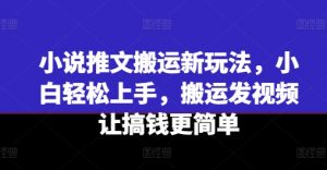 小说推文搬运新玩法，小白轻松上手，搬运发视频让搞钱更简单-阳知网创资源库