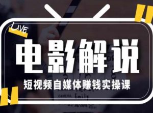 电影解说短视频自媒体赚钱实操课,教你做电影解说短视频,月赚1万-阳知网创资源库