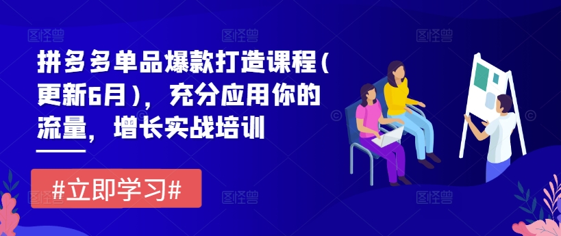 拼多多单品爆款打造课程(更新6月)，充分应用你的流量，增长实战培训-阳知网创资源库