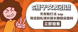 某收费888-S搭子交友引流,交友粉打法 sop,导流到私域实现长期稳定盈利-阳知网创资源库