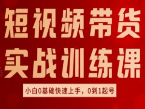 短视频带货实战训练课,好物分享实操,小白0基础快速上手,0到1起号-阳知网创资源库