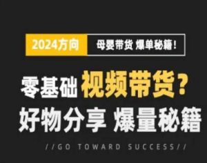 短视频母婴赛道实操流量训练营,零基础视频带货,好物分享,爆量秘籍-阳知网创资源库