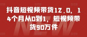 抖音短视频带货12.0,14个月从0到1,短视频带货90万件-阳知网创资源库