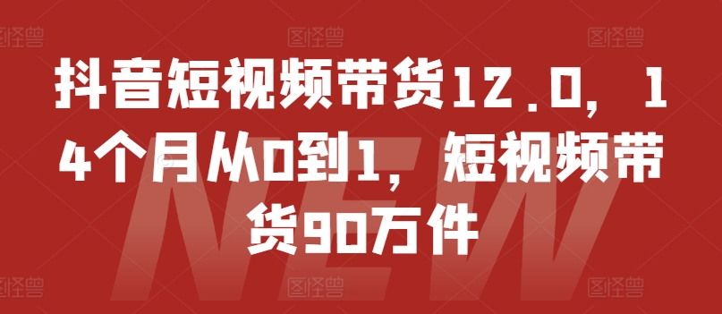 抖音短视频带货12.0,14个月从0到1,短视频带货90万件-阳知网创资源库