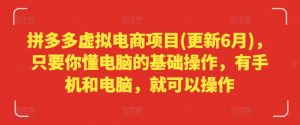 拼多多虚拟电商项目(更新6月)，只要你懂电脑的基础操作，有手机和电脑，就可以操作-阳知网创资源库