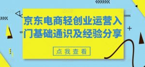 京东电商轻创业运营入门基础通识及经验分享-阳知网创资源库