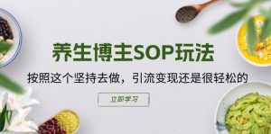 养生博主SOP玩法，按照这个坚持去做，引流变现还是很轻松的-阳知网创资源库