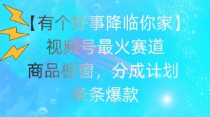 【有个好事降临你家】视频号爆火赛道，商品橱窗，分成计划，条条爆款【揭秘】-阳知网创资源库