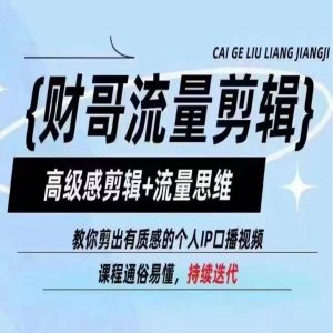财哥流量剪辑,高级感剪辑+流量思维,教你剪出有质感的个人IP口播视频-阳知网创资源库