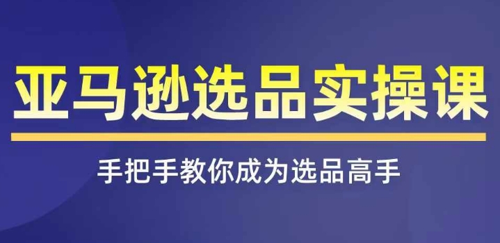 亚马逊选品实操课程,快速掌握亚马逊选品的技巧,覆盖亚马逊选品所有渠道-阳知网创资源库