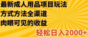 最新成人用品项目玩法,方式方法全渠道,轻松日入2K+【揭秘】-阳知网创资源库