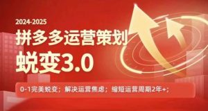 2024-2025拼多多运营策略蜕变3.0,0~1完美蜕变,解决信息焦虑-阳知网创资源库