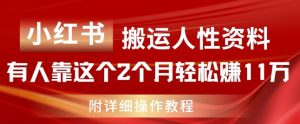 小红书搬运人性资料,有人靠这个2个月轻松赚11w,附教程【揭秘】-阳知网创资源库