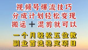 视频号爆流技巧，分成计划轻松变现，搬运 +混剪就可以，一个月轻松五位数稳定项目【揭秘】-阳知网创资源库