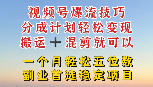 视频号爆流技巧，分成计划轻松变现，搬运 +混剪就可以，一个月轻松五位数稳定项目【揭秘】-阳知网创资源库