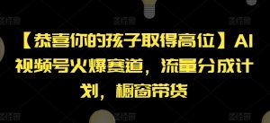 【恭喜你的孩子取得高位】AI视频号火爆赛道，流量分成计划，橱窗带货【揭秘】-阳知网创资源库