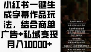 小红书一键生成字幕作品玩法，结合商单广告+私域变现月入1w+【揭秘】-阳知网创资源库