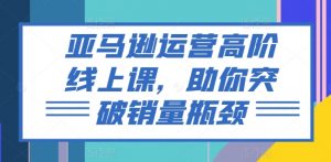 亚马逊运营高阶线上课,助你突破销量瓶颈-阳知网创资源库