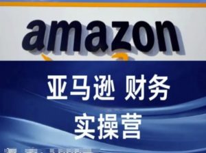 亚马逊财务核算实操营-亚马逊跨境电商教程-阳知网创资源库