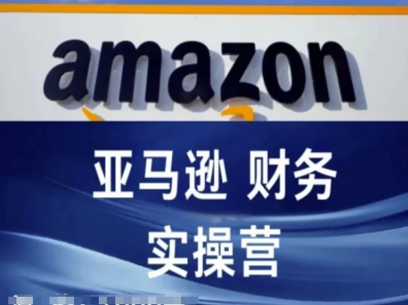 亚马逊财务核算实操营-亚马逊跨境电商教程-阳知网创资源库