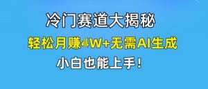 冷门赛道大揭秘,轻松月赚1W+无需AI生成,小白也能上手【揭秘】-阳知网创资源库