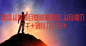 如何从做项目变成卖项目,从月收入几千到月入几万【揭秘】-阳知网创资源库
