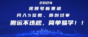 2024视频号新赛道，月入5位数+，原创过审，搬运不违规，简单易学【揭秘】-阳知网创资源库