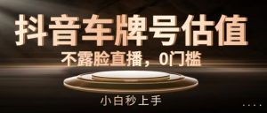 抖音车牌号估值,不露脸直播,0门槛,小白秒上手【揭秘】-阳知网创资源库
