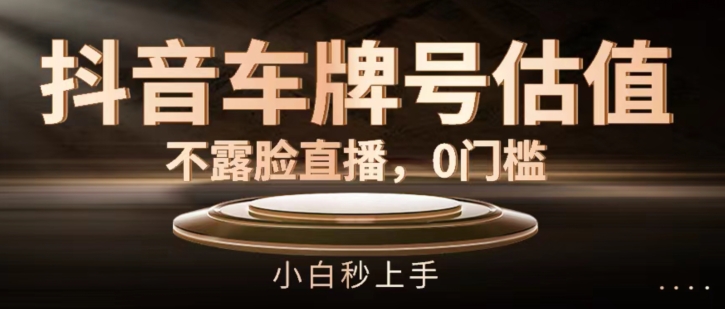 抖音车牌号估值,不露脸直播,0门槛,小白秒上手【揭秘】-阳知网创资源库