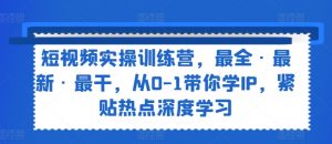 短视频实操训练营,最全·最新·最干,从0-1带你学IP,紧贴热点深度学习-阳知网创资源库