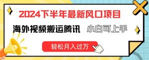2024下半年最新风口项自,海外视频搬运腾讯,小白可上手,轻松月入过万【揭秘】-阳知网创资源库