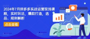 2024年7月拼多多实战运营现场课程,实时玩法,爆款打造,选品、规则解析-阳知网创资源库