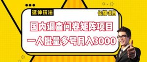 国内调查问卷矩阵项目,一人批量多号月入3000【揭秘】-阳知网创资源库