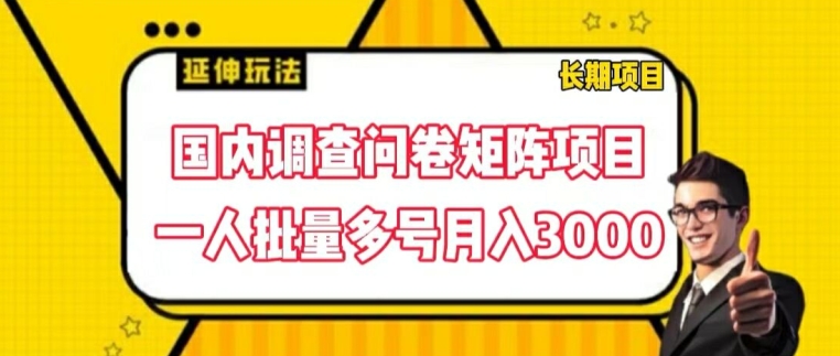 国内调查问卷矩阵项目,一人批量多号月入3000【揭秘】-阳知网创资源库