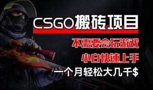 CSGO 装备搬砖项目，操作简单，不需要会玩游戏，小白也能快速上手，一个月轻松大几千【揭秘】-阳知网创资源库