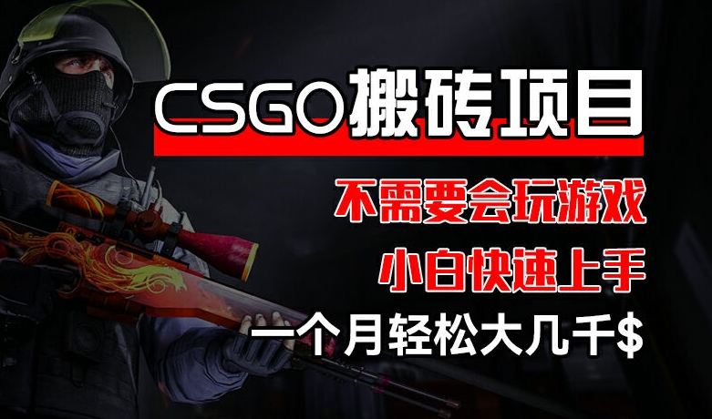 CSGO 装备搬砖项目,操作简单,不需要会玩游戏,小白也能快速上手,一个月轻松大几千【揭秘】-阳知网创资源库