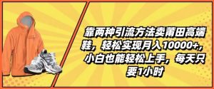 靠两种引流方法卖莆田高端鞋,轻松实现月入1W+,小白也能轻松上手,每天只要1小时【揭秘】-阳知网创资源库
