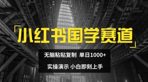小红书国学赛道，无脑粘贴复制，单日1K，实操演示，小白即刻上手【揭秘】-阳知网创资源库