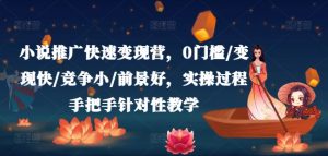小说推广快速变现营，0门槛/变现快/竞争小/前景好，实操过程手把手针对性教学-阳知网创资源库