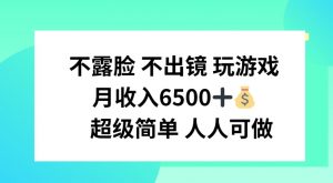 不露脸 不出境 玩游戏，月入6500 超级简单 人人可做【揭秘】-阳知网创资源库